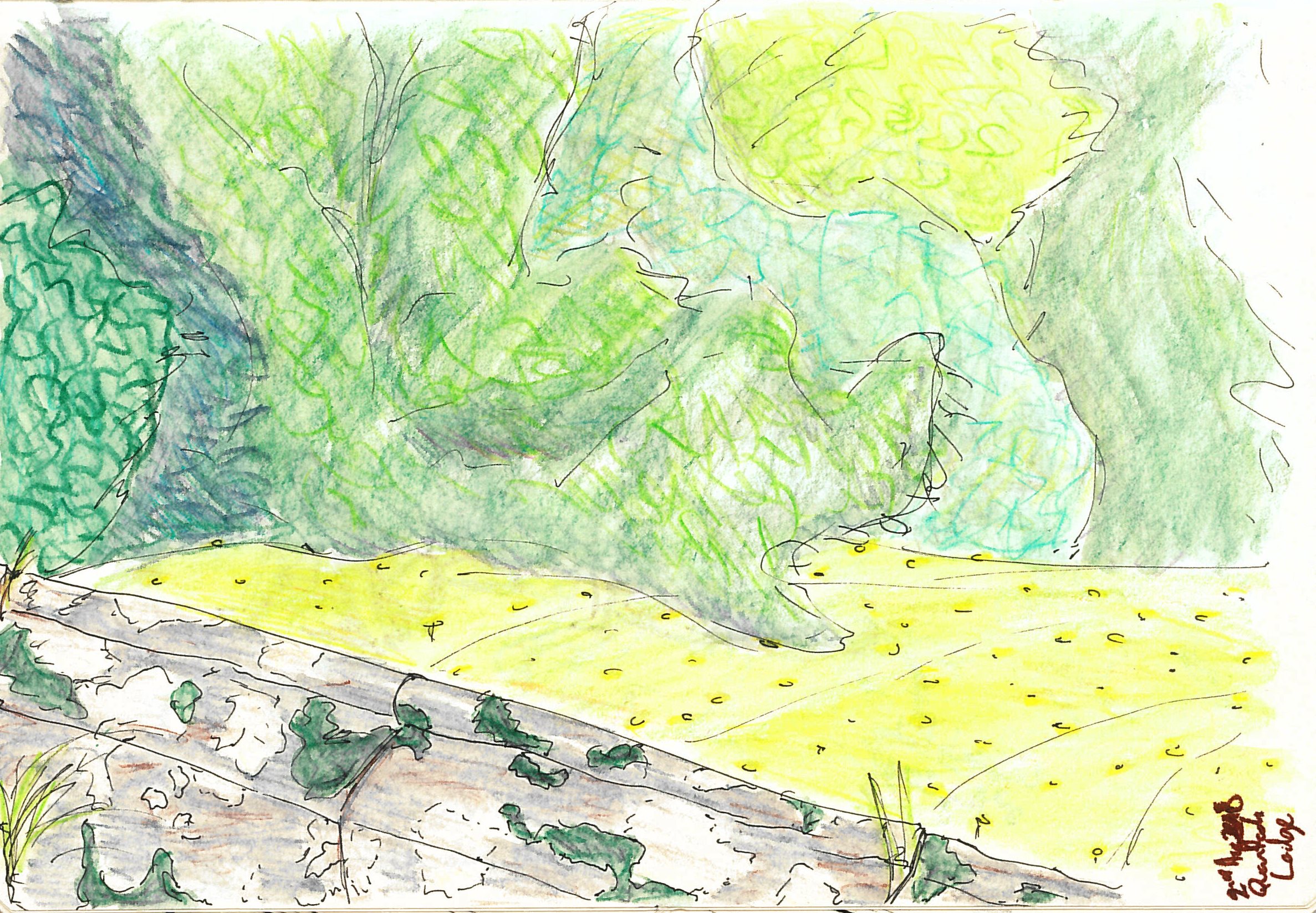 2018.08.02 - Quantock Lodge